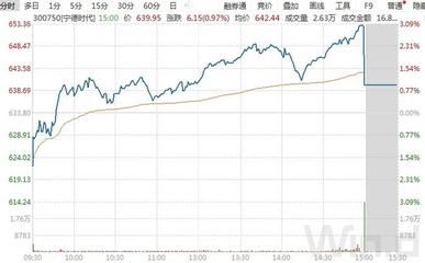 龙鱼缸造景养七彩：七彩雷龙鱼缸造景七彩雷龙鱼缸造景技巧龙鱼缸造景技巧