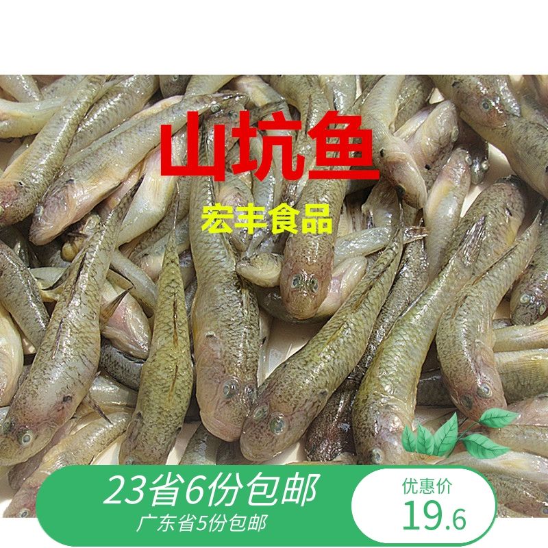 龙鱼产地食用：龙鱼的产地在哪 龙鱼百科 第3张