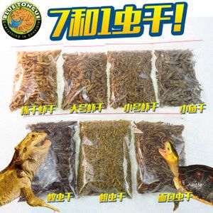 金龙鱼小时候吃什么饲料 龙鱼百科 第3张