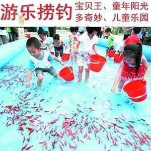 红龙鱼活体鱼怎么喂养视频：红龙鱼怎么养红龙鱼的正确饲养方法