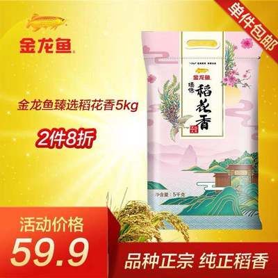 正宗金龙鱼是哪个品种好养：养殖金龙鱼需要注意以下几个方面 龙鱼百科 第2张