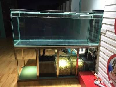 养龙鱼用上过滤可以吗：养龙鱼可以使用上过滤器吗？