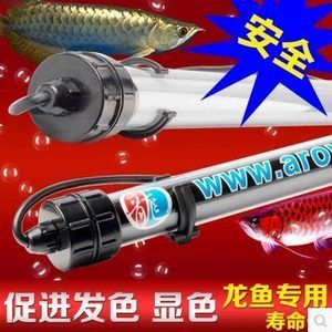 龙鱼专用灯哪个牌子好一点啊：知名龙鱼专用灯品牌有哪些？ 龙鱼百科 第2张