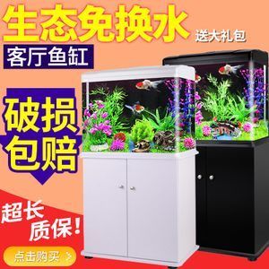 养龙鱼要用杀菌灯吗：养龙鱼是否需要使用杀菌灯 龙鱼百科 第1张