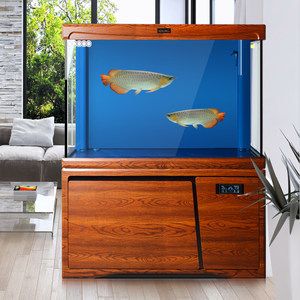 三色金龙鱼游戏机：三色金龙鱼游戏机玩法介绍三色金龙鱼游戏机的玩法介绍