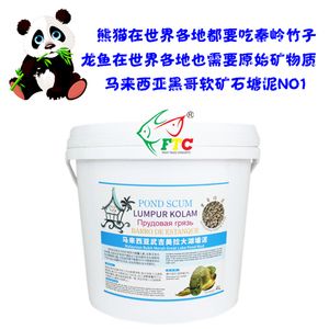 马来西亚塘泥养龙鱼有用吗：马来西亚塘泥在养龙鱼的使用塘泥的使用方法是否有效 龙鱼百科 第2张