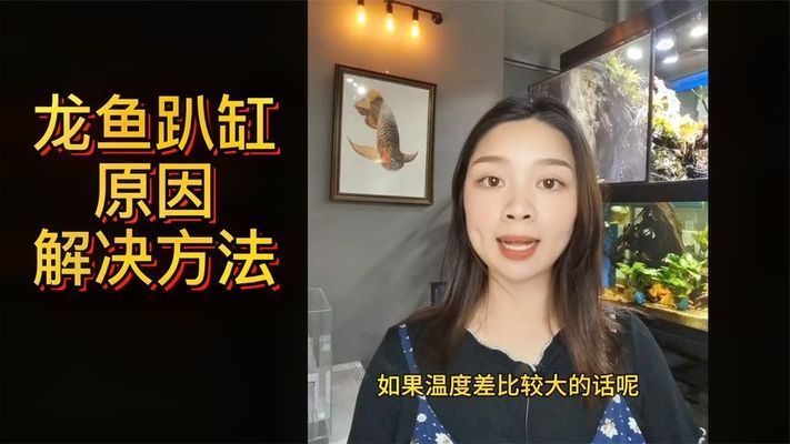 新龙鱼趴缸怎么处理视频：处理新龙鱼趴缸的方法