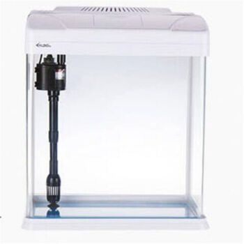 西龙鱼缸增氧泵的安装视频：西龙鱼缸增氧泵安装教程 龙鱼百科 第2张