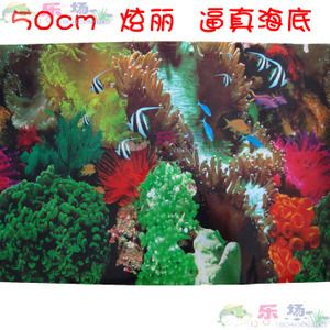 其他水族品牌批发：你正在寻找其他水族品牌批发以及货源基地的信息 龙鱼百科 第4张