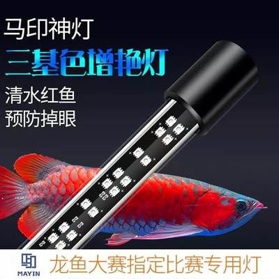 马印水族批发：广东马印国际贸易有限公司 龙鱼百科 第4张