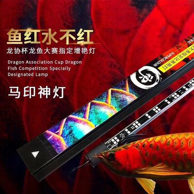 马印水族批发：广东马印国际贸易有限公司 龙鱼百科 第3张