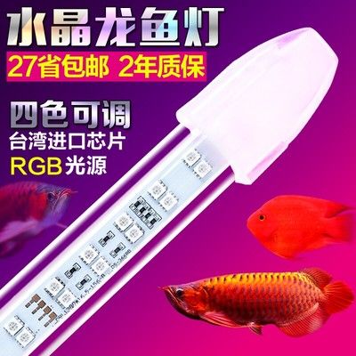 一方龙鱼灯用哪个适合红龙鱼：如何选择红龙鱼的灯光