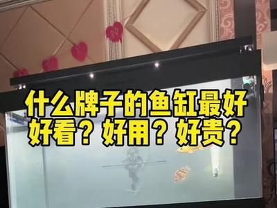 什么牌子龙鱼缸性价比高好：鱼缸选购指南