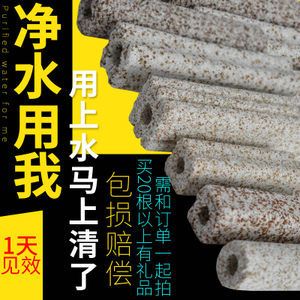 龙鱼只要配什么过滤材料好：养龙鱼时选择过滤材料是非常重要的