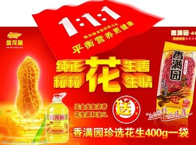 金龙鱼央视广告视频家：金龙鱼央视广告视广告创意央视广告创意策略