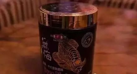 品牌龙鱼v：“品牌龙鱼v” 龙鱼百科 第2张