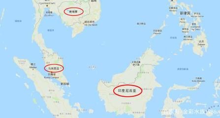 马来西亚金龙鱼养殖场在哪里：马来西亚金龙鱼养殖场 龙鱼百科 第3张