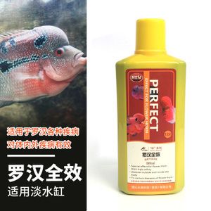 龙鱼用什么麻药消毒好：龙鱼手术中常用的麻药和消毒剂是一种常用的消毒药物 龙鱼百科 第1张