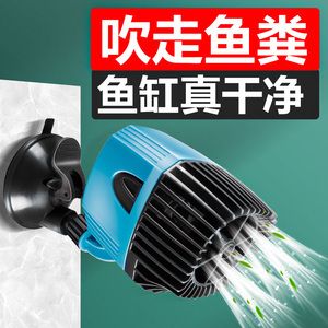 创宁水族批发：创宁水族批发和货源基地 龙鱼百科 第4张