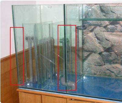 1米鱼缸用多厚的玻璃好：鱼缸玻璃厚度与容水量的关系鱼缸外形设计的注意事项 鱼缸 第1张