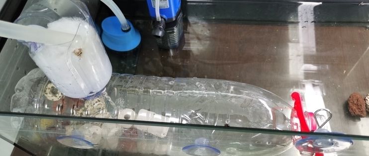 5l矿泉水瓶做鱼缸多少钱合适：制作一个5l的矿泉水瓶鱼缸的成本