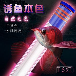 2024年长城杯水族展会时间表图片：2024年长城杯水族展会时间表图片如何获取信息 鱼缸百科 第1张