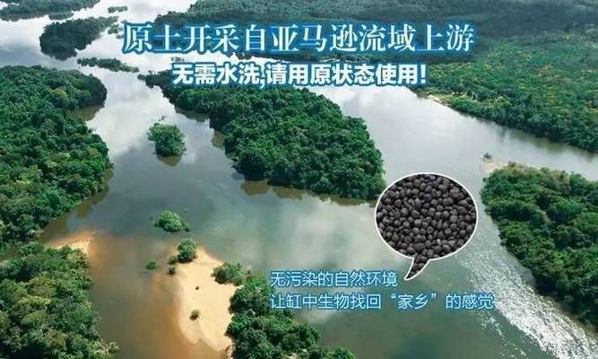 60金鱼缸要用多少水草泥？：一个长60cm、宽30cm的金鱼缸种植水草泥铺设建议 鱼缸 第1张