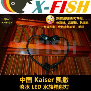 FISHTANK鱼缸灯：fishtank鱼缸灯的使用注意事项使用注意事项 鱼缸百科 第3张