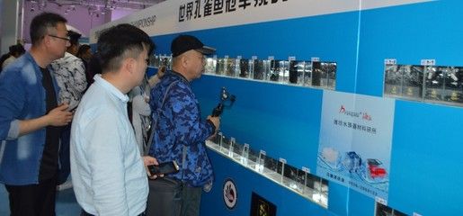 2024年长城杯水族展会时间表格：2024年长城杯水族展会时间表