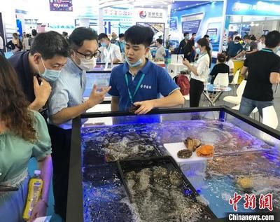 2024年水族展会时间及地点图片：2024年山东国际宠物水族用品展 鱼缸百科 第3张