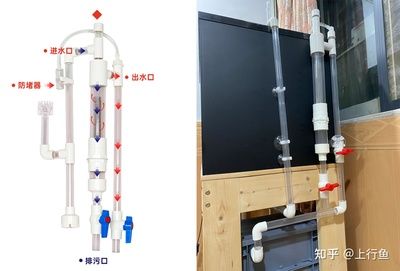 diy自制鱼缸：diy自制鱼缸制作经验分享