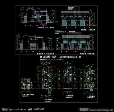 50鱼缸养泰狮：如何在50升的鱼缸中饲养泰狮金鱼