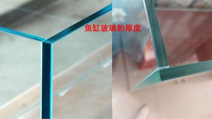 300升水的鱼缸用多厚的玻璃：鱼缸玻璃厚度如何选择 鱼缸百科 第4张