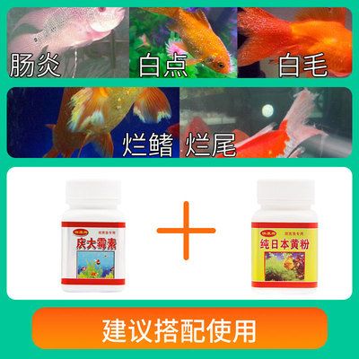 80的鱼缸用多少庆大霉素：一个80升的鱼缸，庆大霉素的使用量是多少？ 鱼缸 第3张