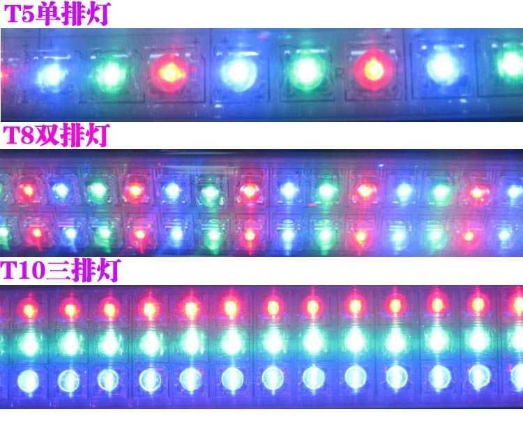 龙鱼是野生的吗：龙鱼并非全为野生，它们既可以是人工养殖的，也可以是人工养殖的