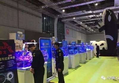 2024年水族展览会：15.2024山东宠物水族展 鱼缸百科 第1张