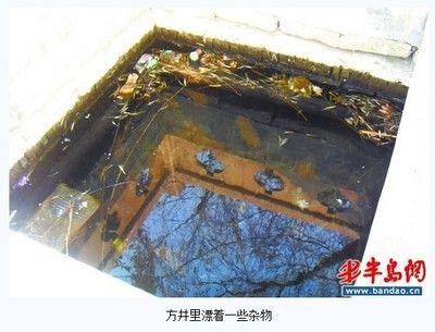 100个经典鱼池图片：庭院设计中鱼池的设计与布局