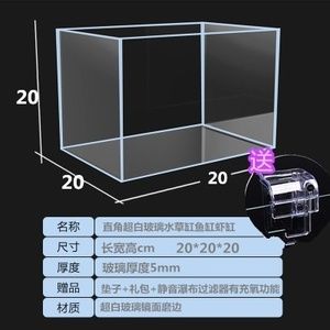 金鱼龙鱼混养水族箱视频：金鱼龙鱼混养水族箱视频教程 龙鱼百科 第1张