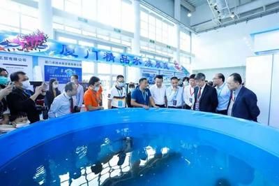 2024年广州水族展会时间表图片：2024年广州水族展会时间表