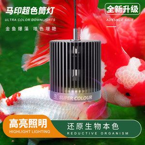 led灯鱼缸能爆藻吗？：led灯在鱼缸中的应用 鱼缸百科 第4张