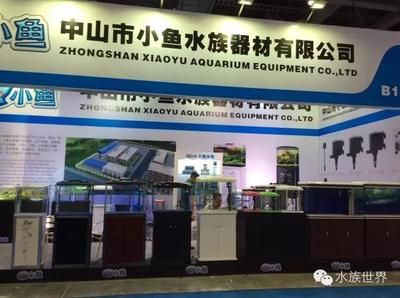 2024年国际宠物水族展：2024年中国国际宠物水族展览会