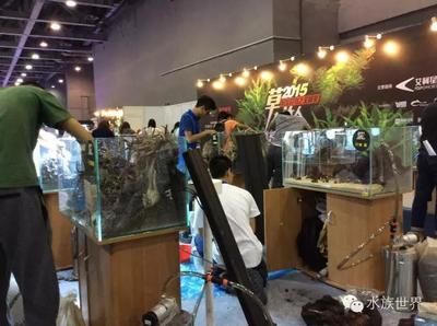 2024年国际宠物水族展：2024年中国国际宠物水族展览会 鱼缸百科 第1张