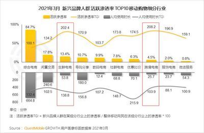 2024年网红品牌：2024年的网红品牌既有成功的典范也有面临挑战的典范