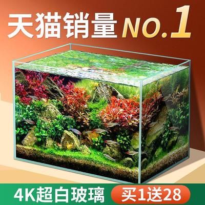 8l的鱼缸可以养多少鱼：8升鱼缸的养鱼数量怎么算？ 鱼缸百科 第4张