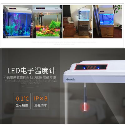 50cm鱼缸led灯多少瓦：50cm鱼缸led灯的瓦数选择 鱼缸百科 第4张