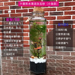 diy鱼缸换水：diy鱼缸换水的方法和注意事项和注意事项和注意事项 鱼缸百科 第3张