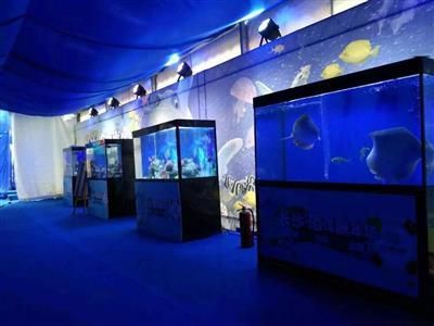 2020水族鱼缸博览会图片：2020上海国际水族展亮点打造最具性价比展会