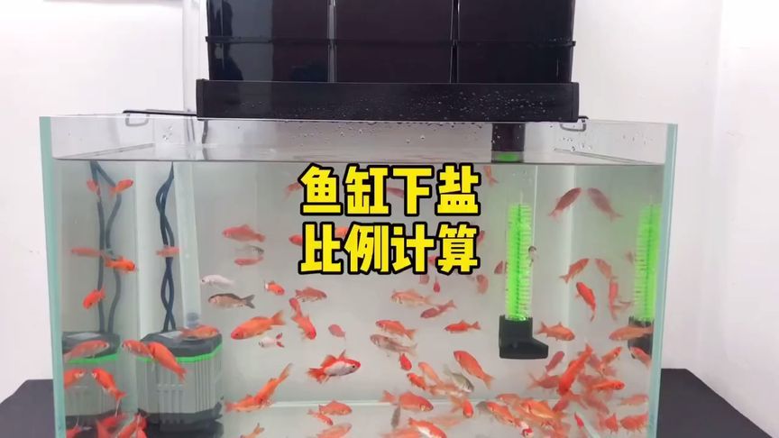 30的鱼缸过滤器用什么最好：30升的鱼缸过滤器怎么选