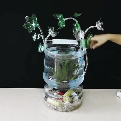 5个矿泉水瓶鱼缸图片：如何使用五个矿泉水瓶制作鱼缸