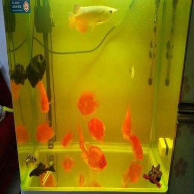 aquarium鱼缸过滤器安装图aquarium鱼缸过滤器安装图(鱼缸过滤器组装图)：鱼缸过滤器安装 鱼缸百科 第3张